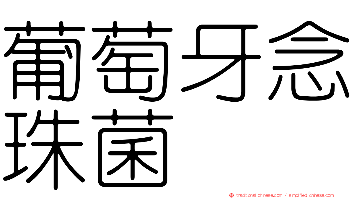葡萄牙念珠菌