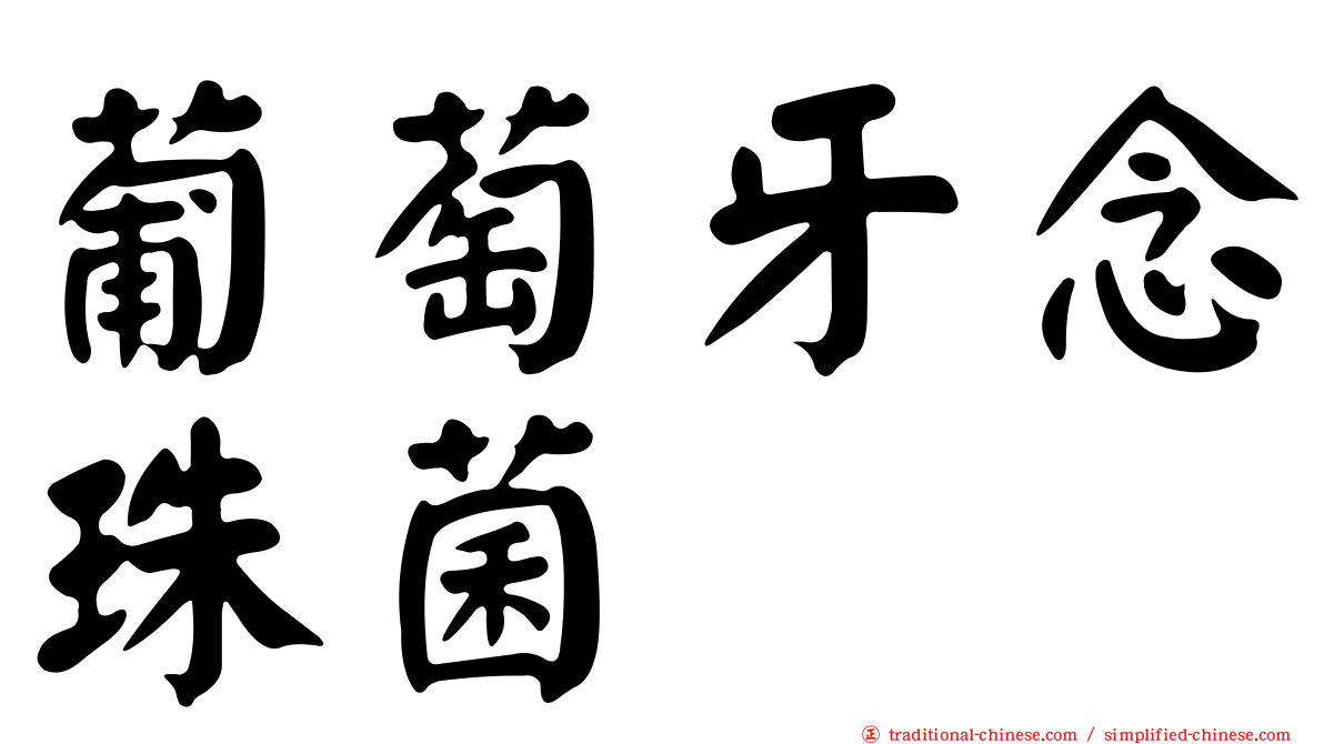 葡萄牙念珠菌