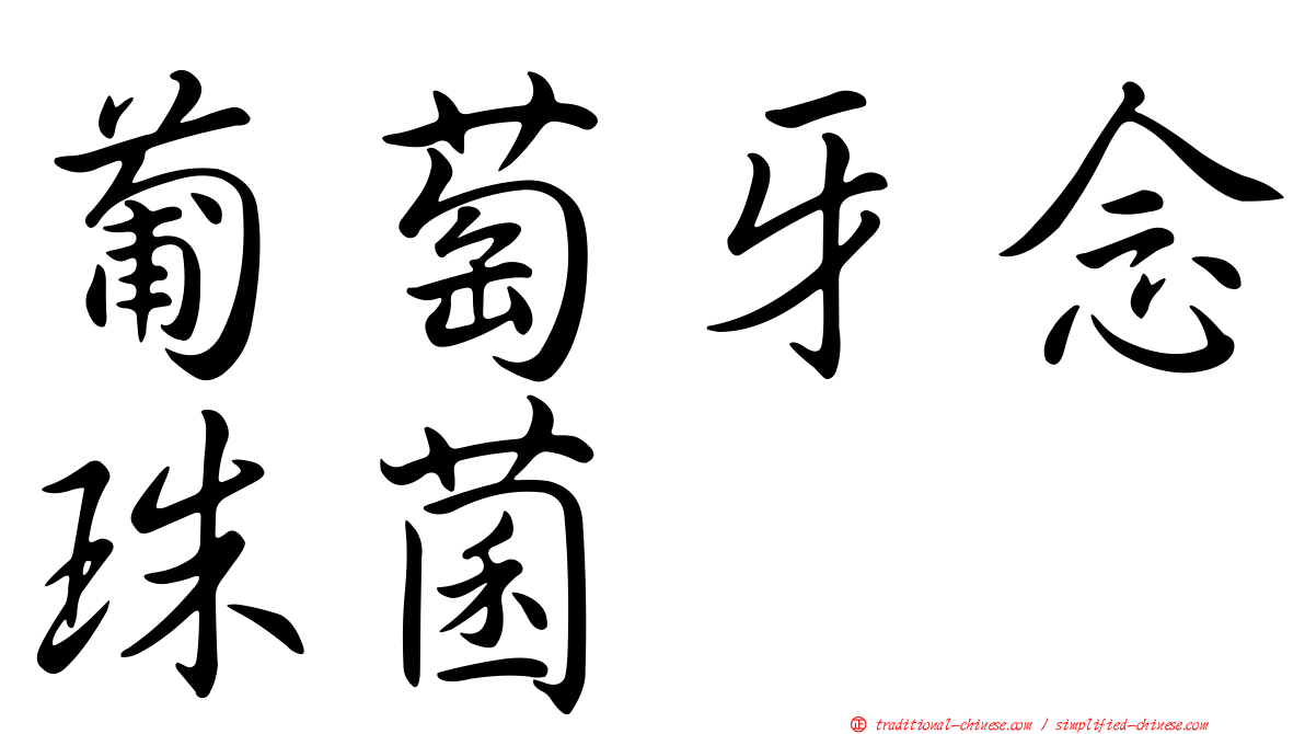 葡萄牙念珠菌