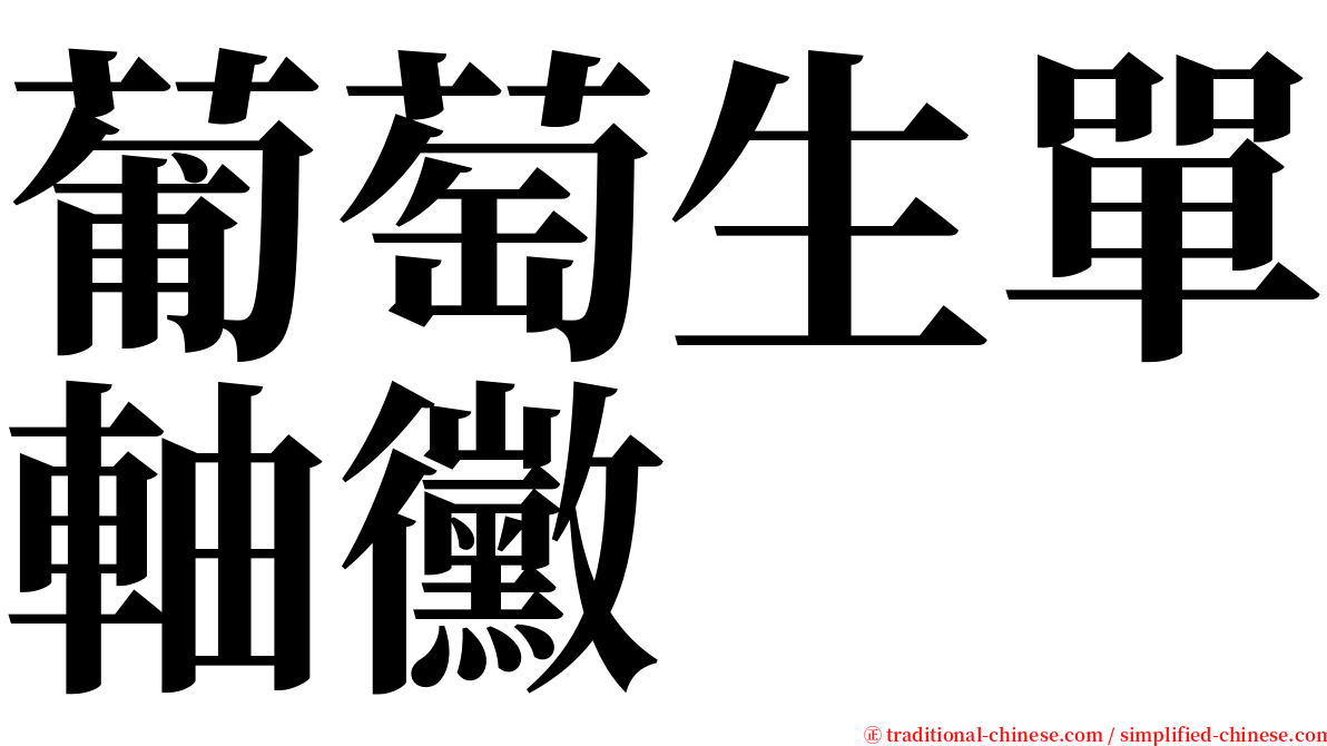 葡萄生單軸黴 serif font