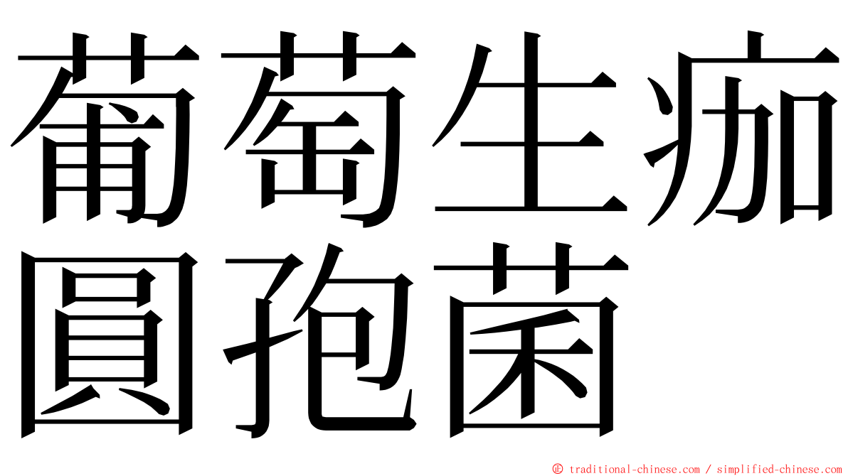 葡萄生痂圓孢菌 ming font