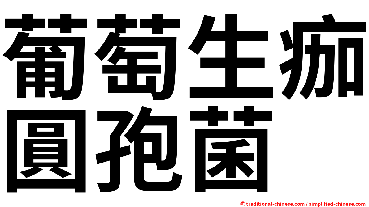 葡萄生痂圓孢菌