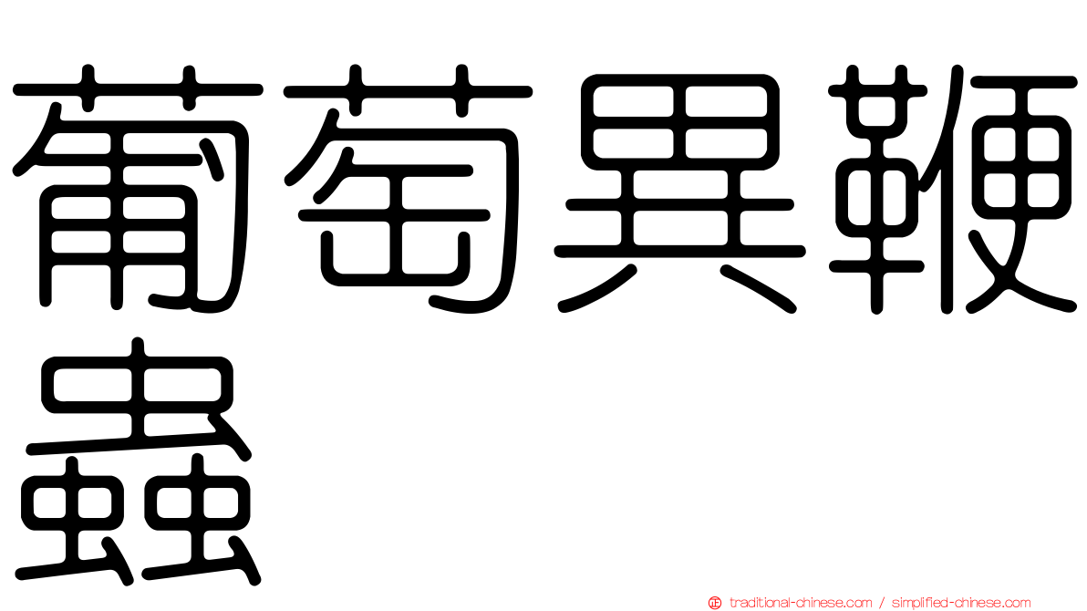 葡萄異鞭蟲