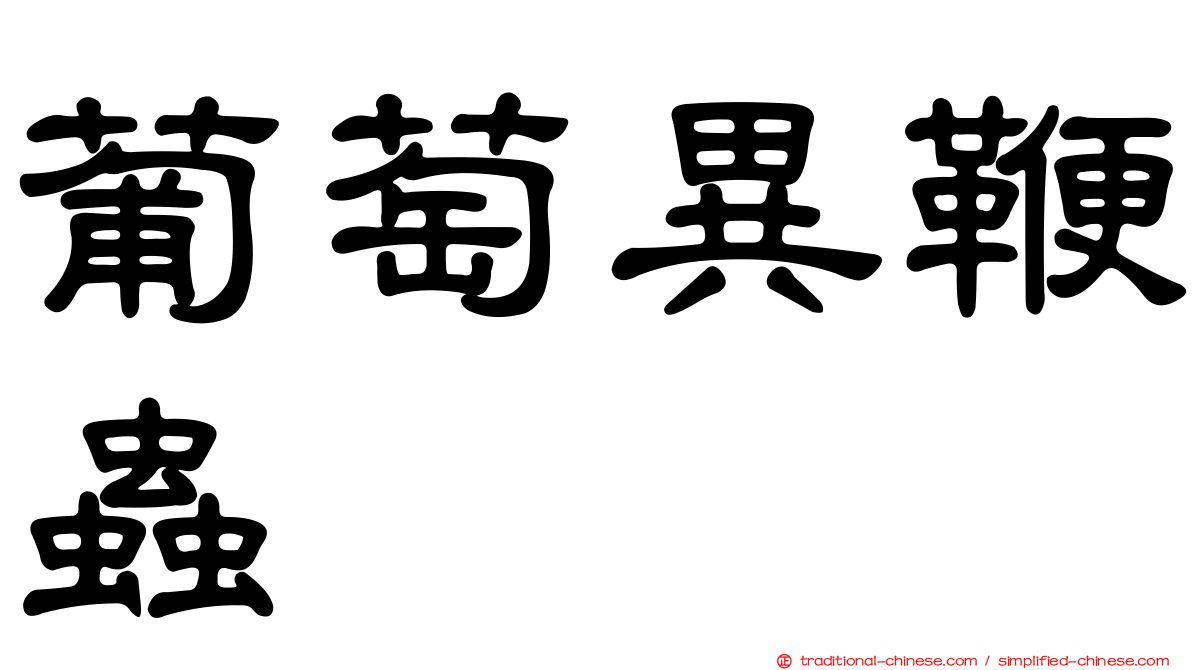 葡萄異鞭蟲