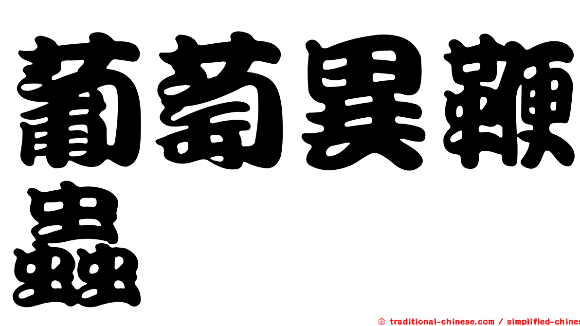 葡萄異鞭蟲