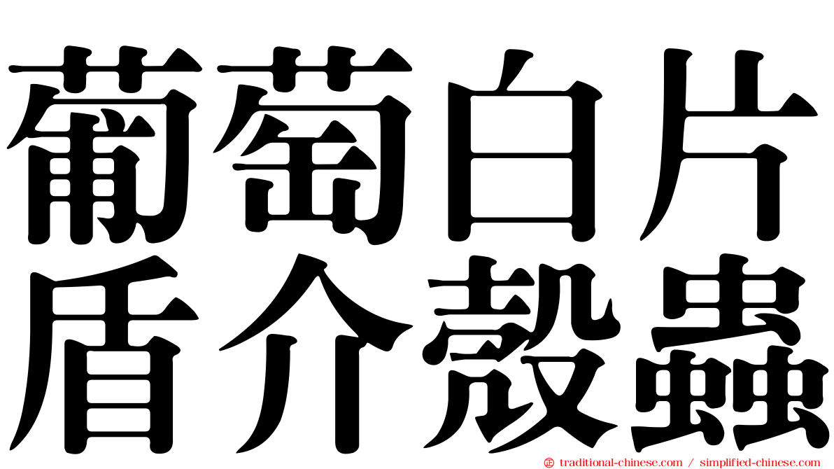 葡萄白片盾介殼蟲