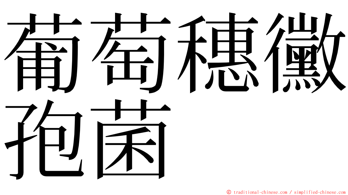 葡萄穗黴孢菌 ming font