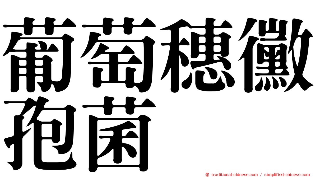 葡萄穗黴孢菌