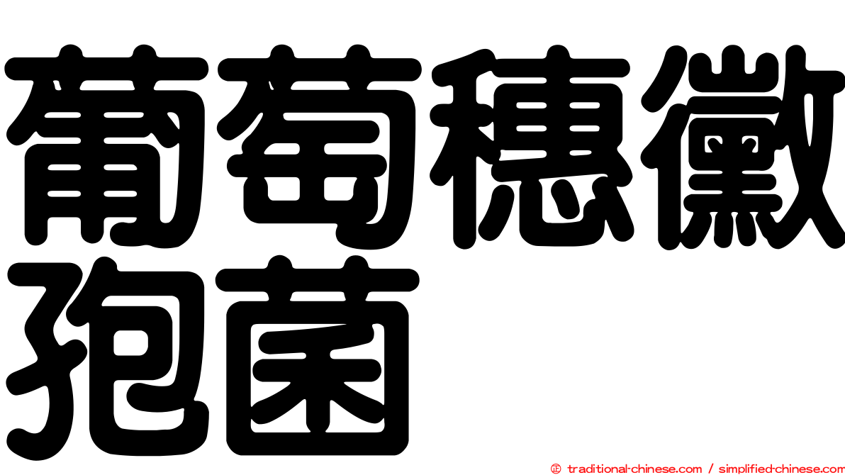 葡萄穗黴孢菌
