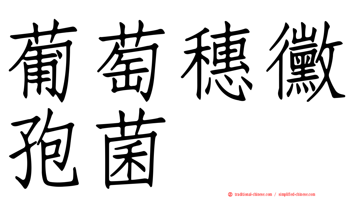葡萄穗黴孢菌
