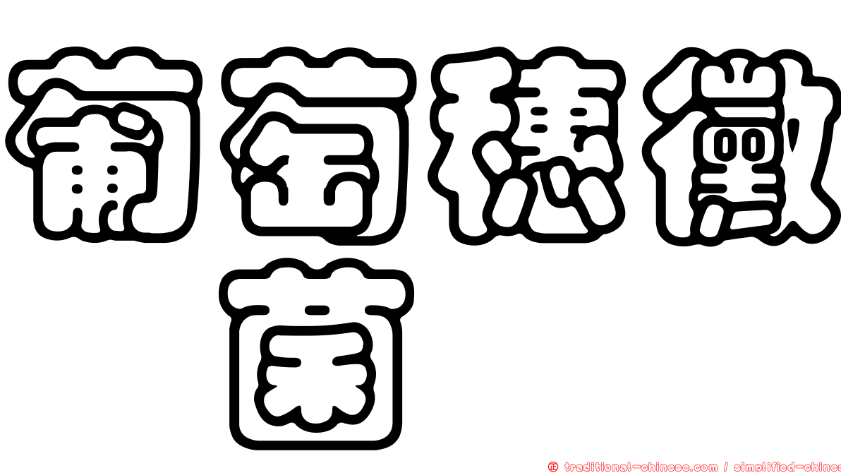 葡萄穗黴孢菌