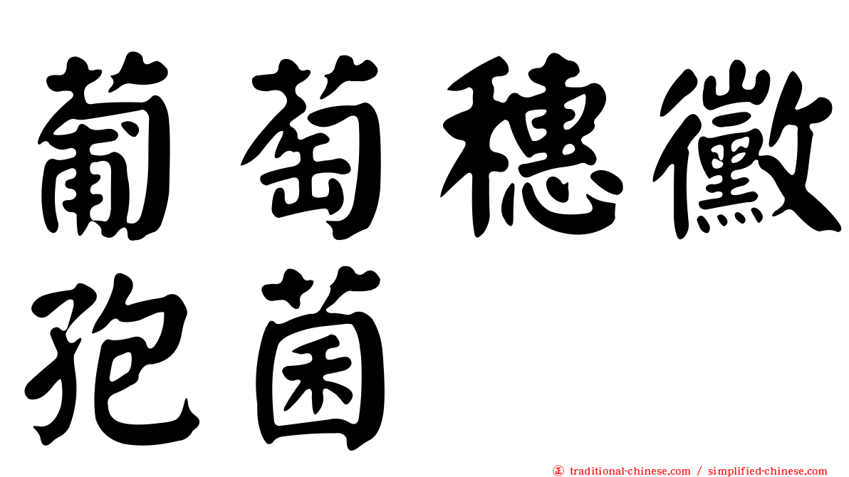 葡萄穗黴孢菌