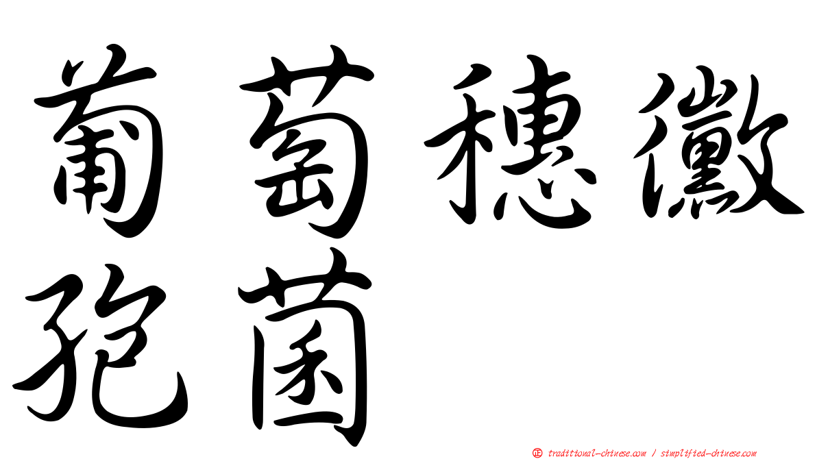 葡萄穗黴孢菌