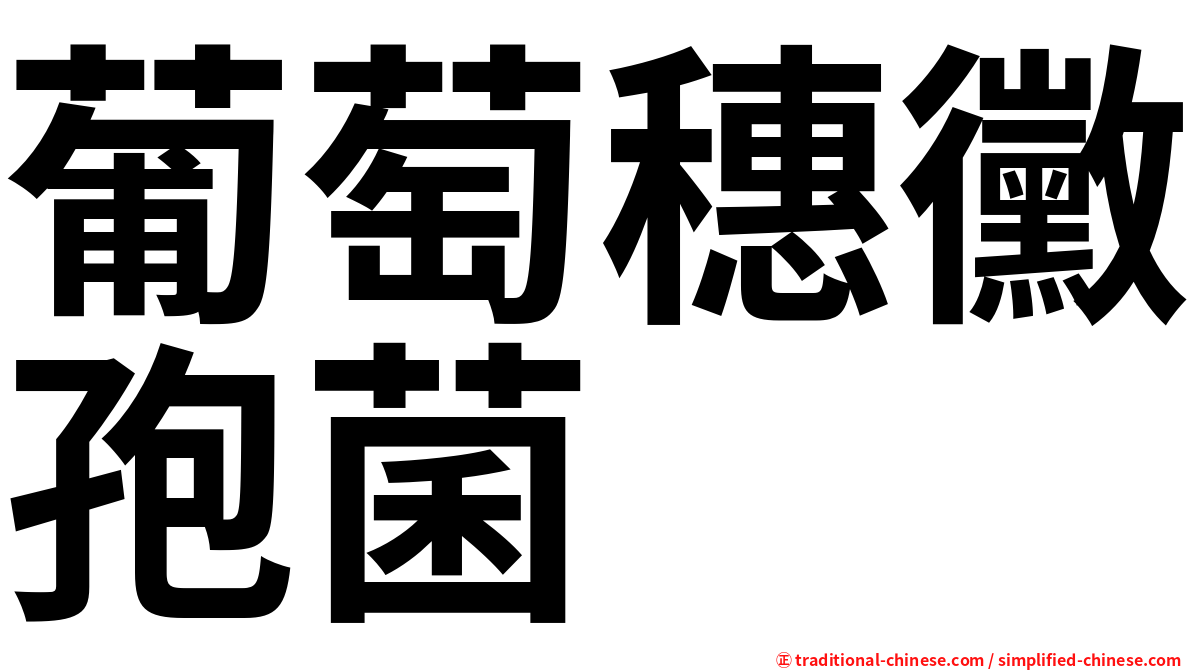葡萄穗黴孢菌