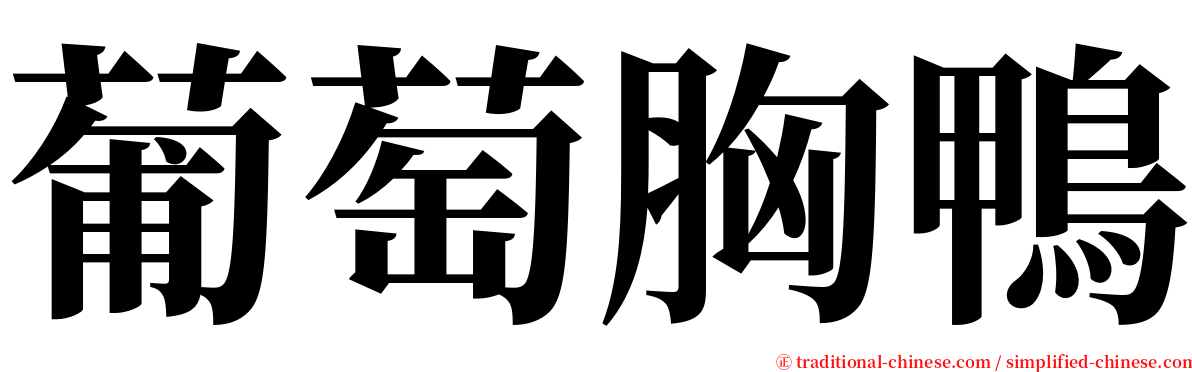 葡萄胸鴨 serif font