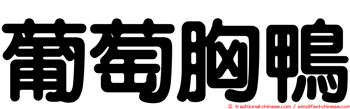 葡萄胸鴨
