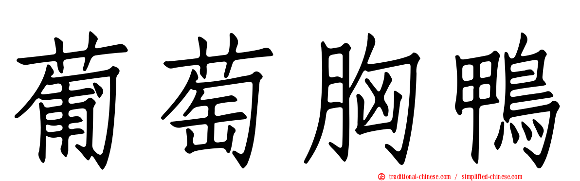 葡萄胸鴨