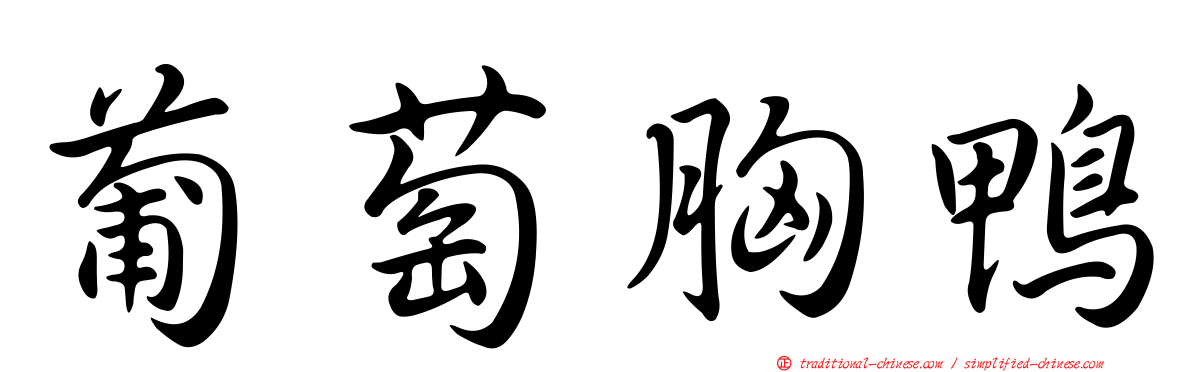 葡萄胸鴨