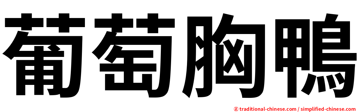 葡萄胸鴨