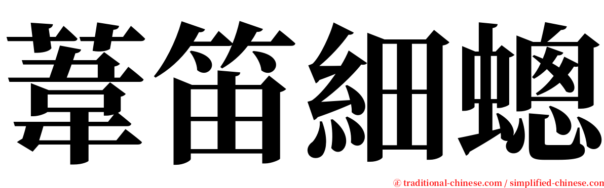 葦笛細蟌 serif font