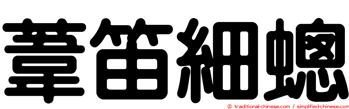 葦笛細蟌
