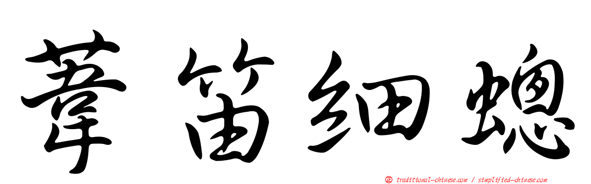 葦笛細蟌