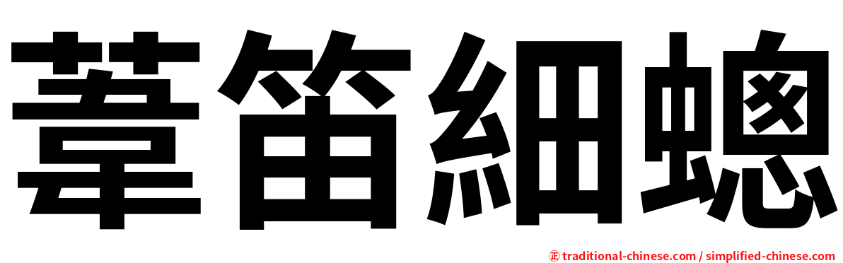 葦笛細蟌