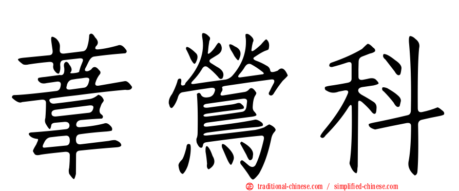 葦鶯科