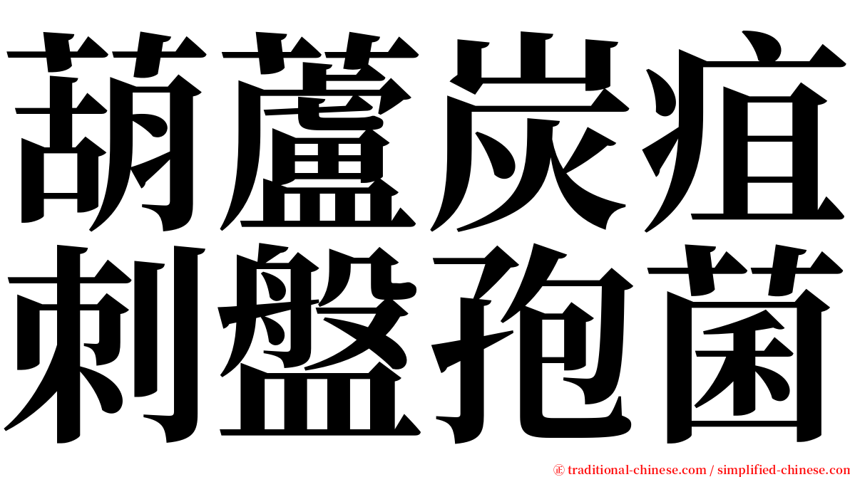 葫蘆炭疽刺盤孢菌 serif font
