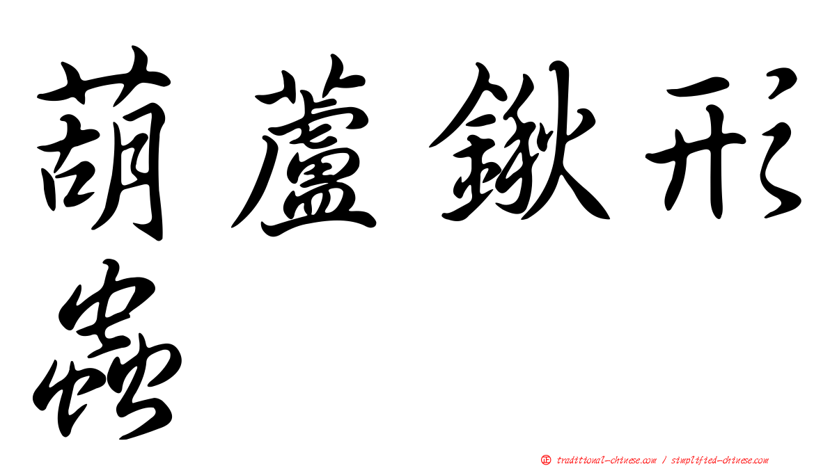 葫蘆鍬形蟲
