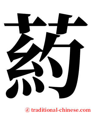 葯 serif font