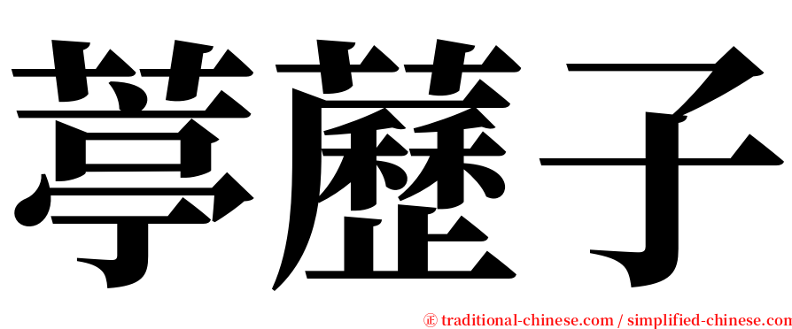 葶藶子 serif font