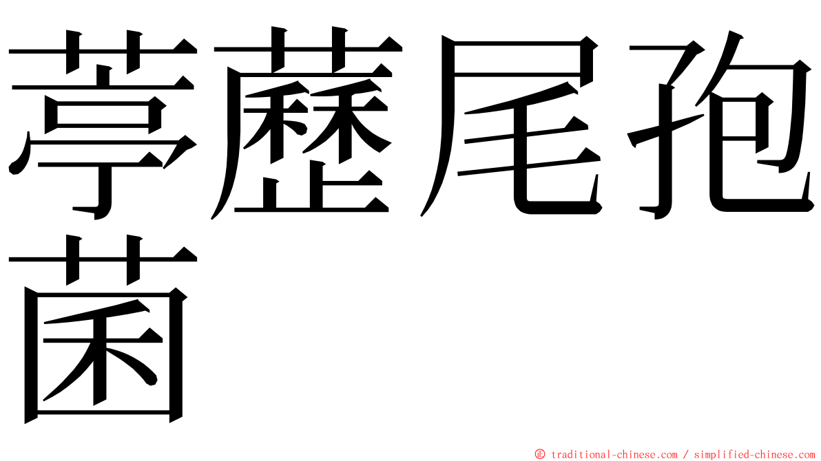 葶藶尾孢菌 ming font