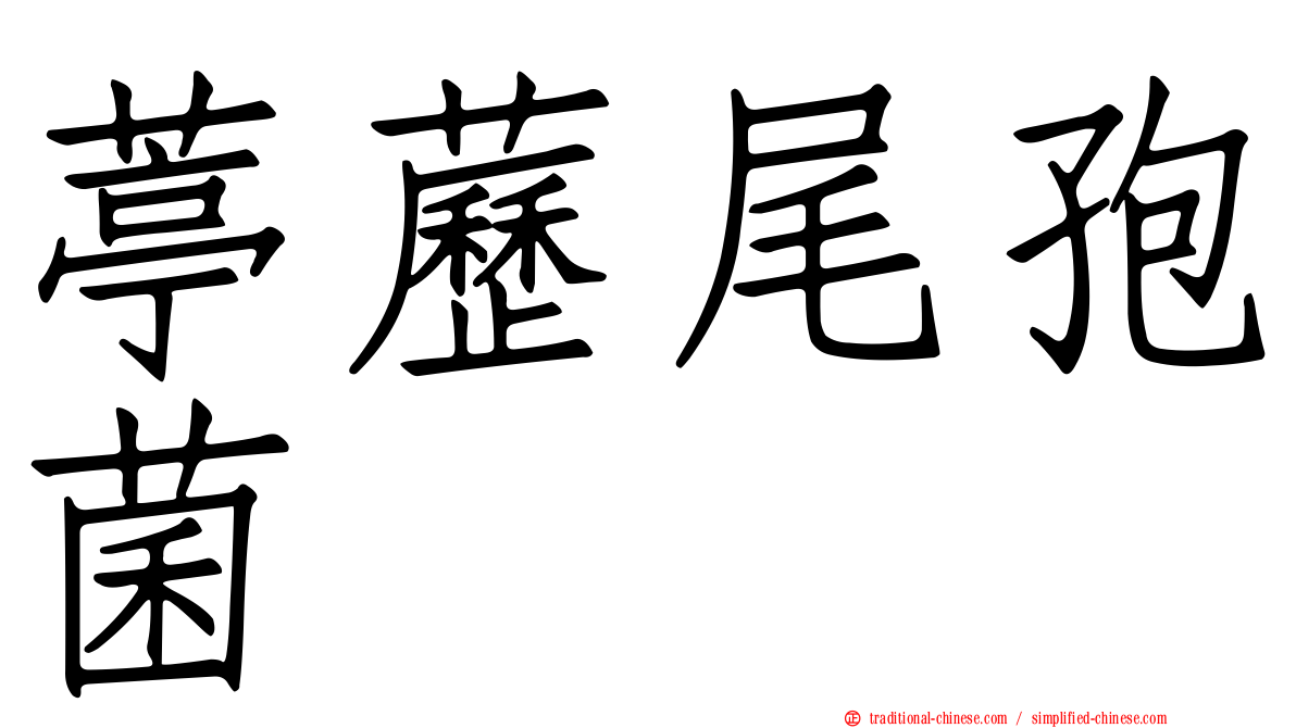 葶藶尾孢菌