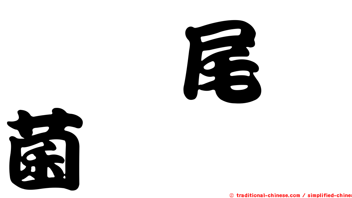 葶藶尾孢菌