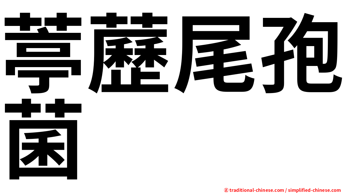 葶藶尾孢菌