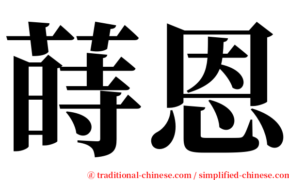 蒔恩 serif font
