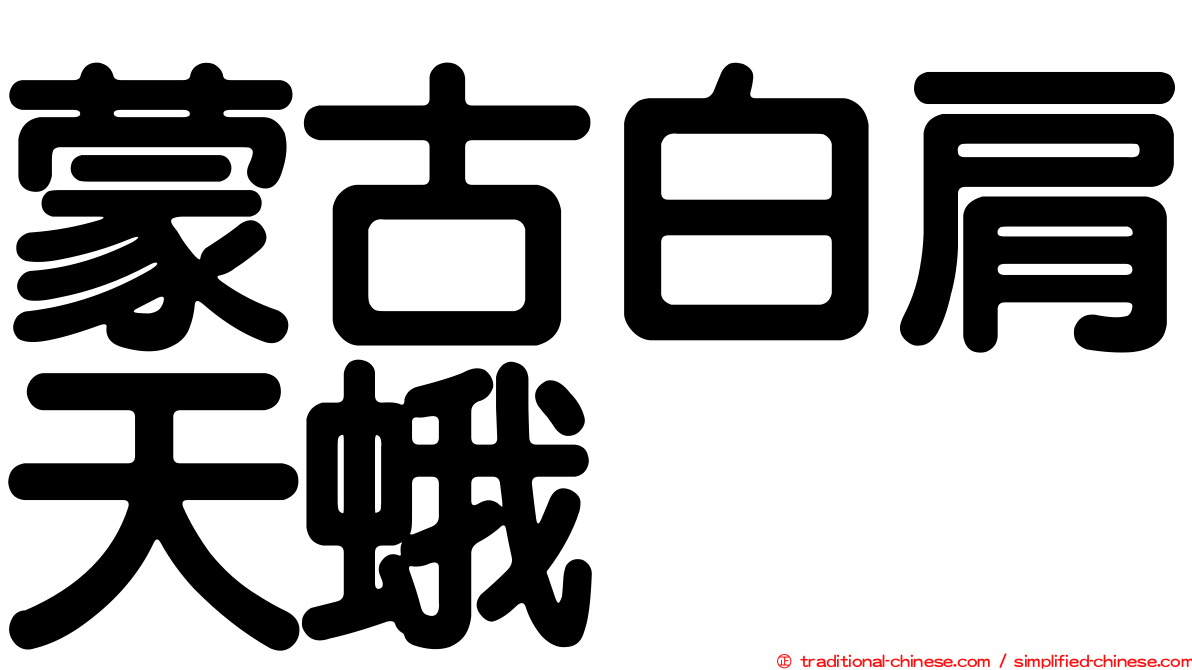 蒙古白肩天蛾