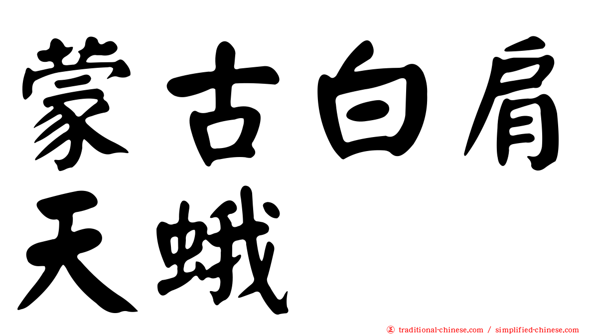 蒙古白肩天蛾