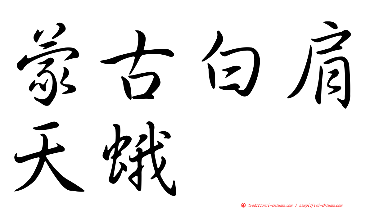 蒙古白肩天蛾