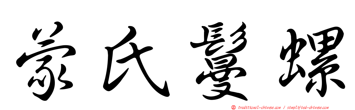 蒙氏鬘螺