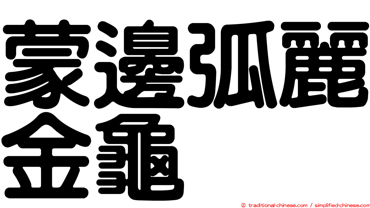 蒙邊弧麗金龜