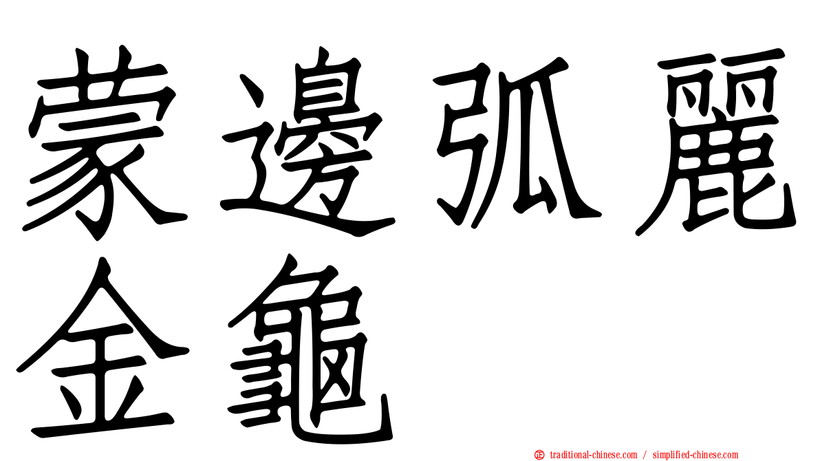 蒙邊弧麗金龜