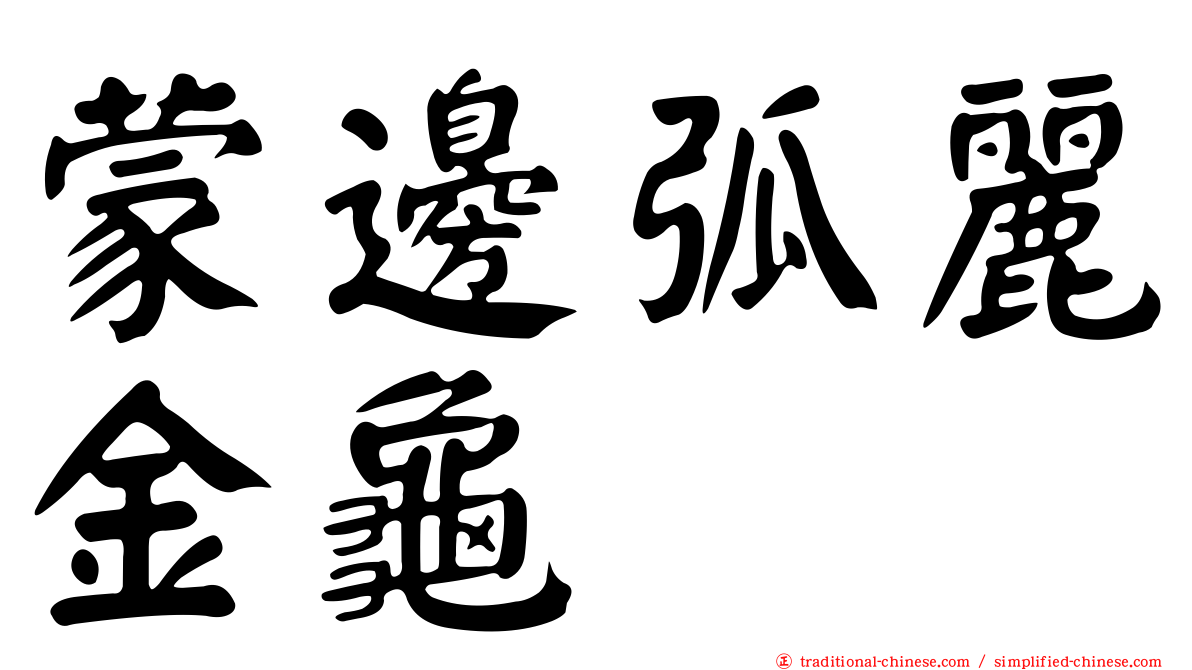 蒙邊弧麗金龜