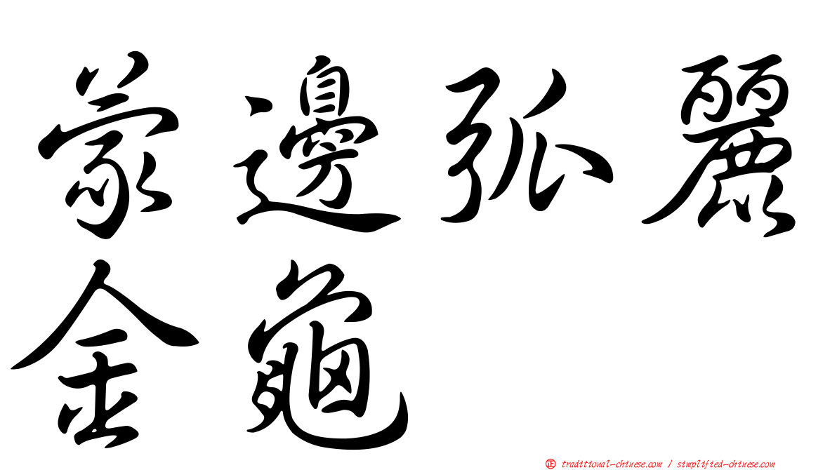 蒙邊弧麗金龜