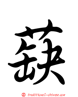 蒛