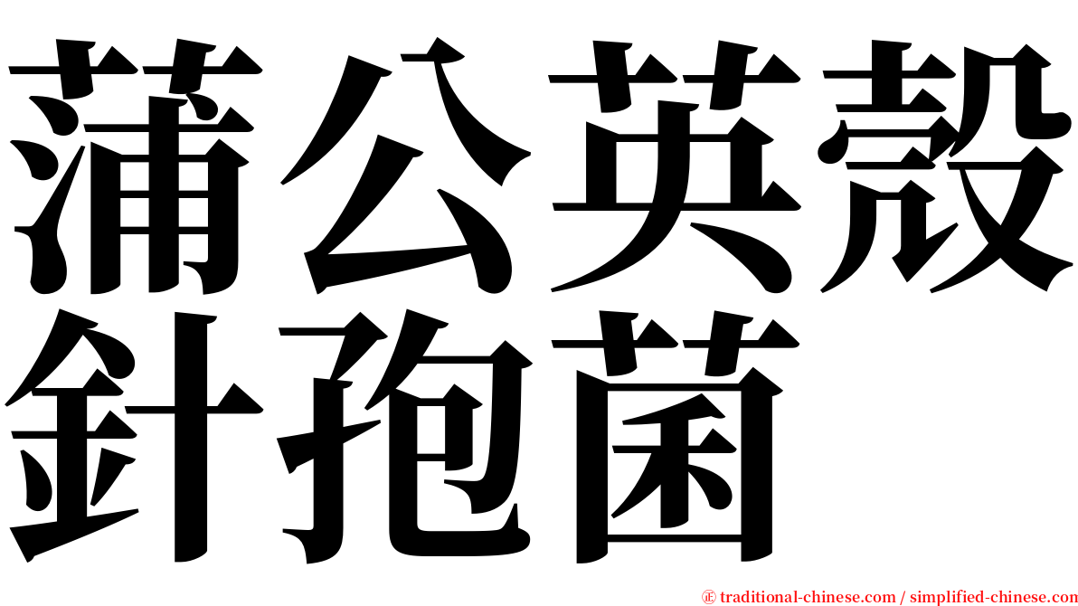 蒲公英殼針孢菌 serif font