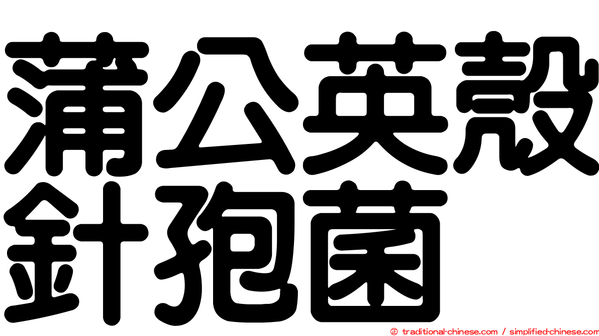 蒲公英殼針孢菌