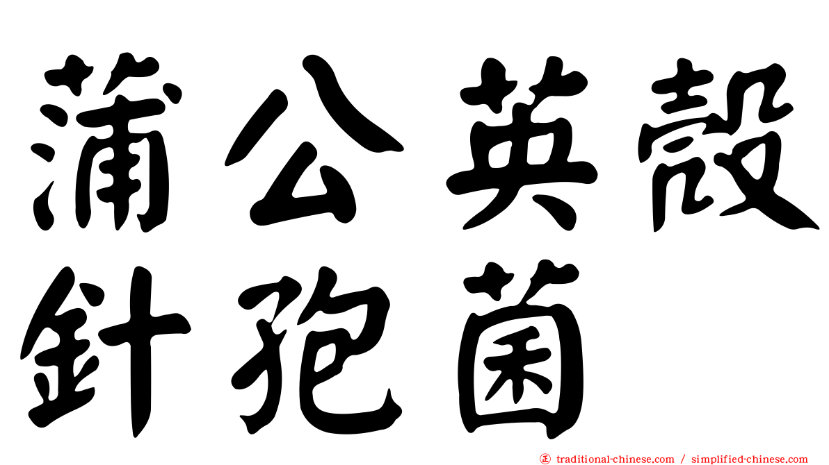 蒲公英殼針孢菌