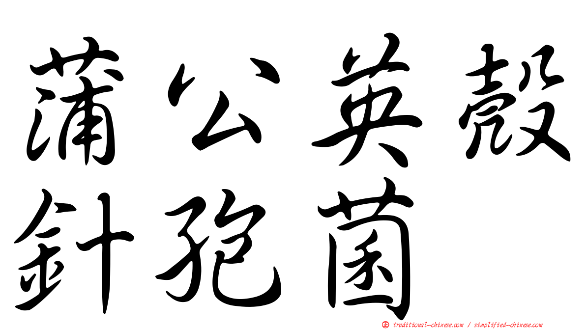 蒲公英殼針孢菌